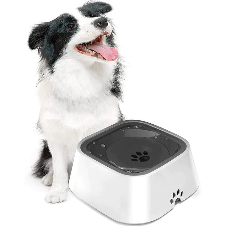 Bebedero Antiderrames para Mascotas